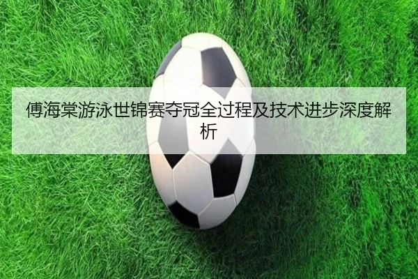 傅海棠游泳世锦赛夺冠全过程及技术进步深度解析 - QiusuSports